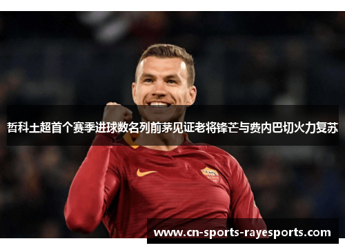 哲科土超首个赛季进球数名列前茅见证老将锋芒与费内巴切火力复苏