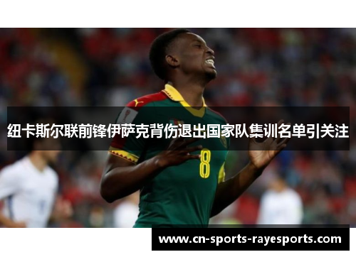 纽卡斯尔联前锋伊萨克背伤退出国家队集训名单引关注