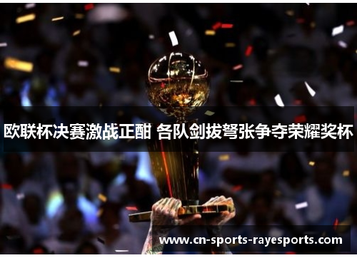 欧联杯决赛激战正酣 各队剑拔弩张争夺荣耀奖杯